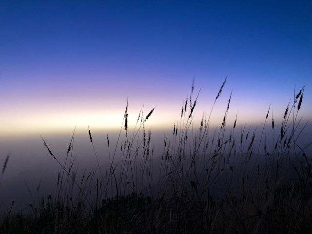 Sérénité naturelle